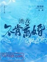 《渣攻不肯离婚》小说封面