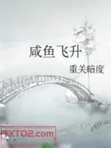 《咸鱼飞升》小说封面