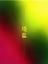 《逐盐》小说封面