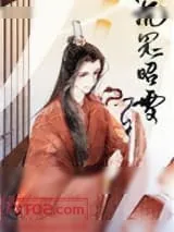 《沉冤昭雪之后》小说封面