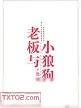 《老板与小狼狗》小说封面