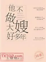 《他不做大嫂好多年》小说封面