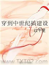 《穿到中世纪搞建设》小说封面