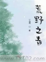 《荒野之春》小说封面