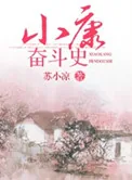 《小康奋斗史》小说封面