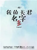《[综]我的夫君名字多》小说封面