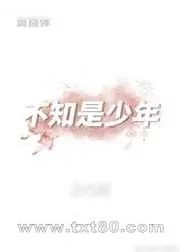 《不知是少年》小说封面