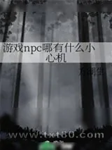 《游戏npc哪有什么小心机》小说封面