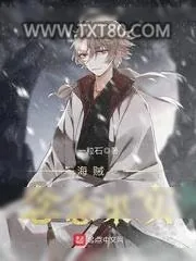《海贼之念念果实》小说封面