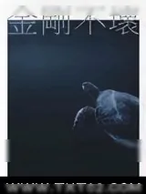 《金刚不坏》小说封面