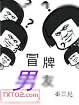 《冒牌男友》小说封面