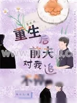 《重生后前夫对我追不停》小说封面