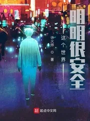 《这个世界明明很安全》小说封面