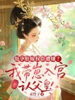 《挺孕肚嫁权臣遭嫌？我带崽入宫认父皇！》小说封面