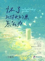 《怀了死对头的崽怎么办》小说封面