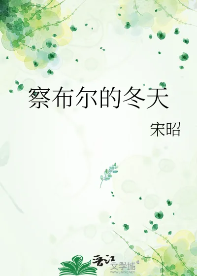 《察布尔的冬天》小说封面