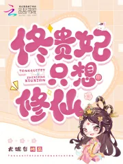《佟贵妃只想修仙》小说封面