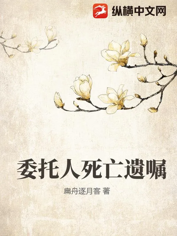 《委托人死亡遗嘱》小说封面