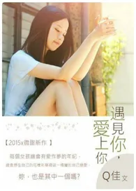《遇见你,爱上你》小说封面