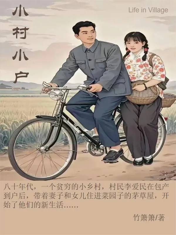 《小村小户》小说封面
