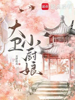 《大卫小厨娘》小说封面