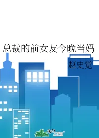《总裁的前女友今晚当妈》小说封面