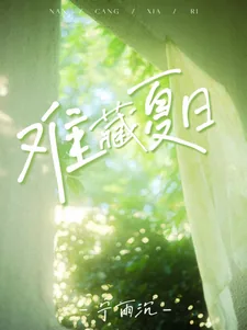 《难藏夏日》小说封面