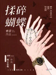 《揉碎蝴蝶》小说封面