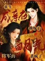 《重生成亲夜换嫁后，将军的白月光杀疯了》小说封面