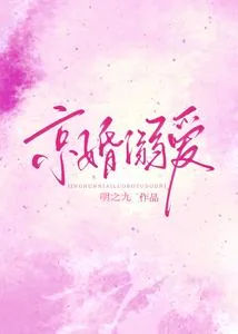 《京婚溺爱》小说封面