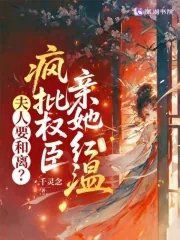 《夫人要和离？疯批权臣亲她红温》小说封面