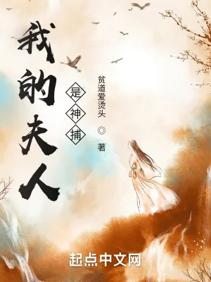 《我的夫人是神捕》小说封面