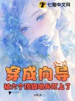 《穿成向导，被六个顶级哨兵盯上了》小说封面