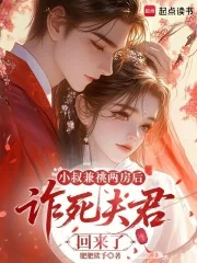 《小叔兼祧两房后，诈死夫君回来了》小说封面