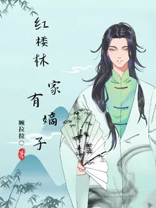 《红楼之林家有嫡子》小说封面