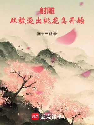 《射雕：从被逐出桃花岛开始》小说封面