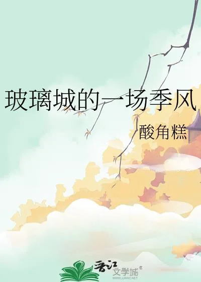 《玻璃城的一场季风》小说封面
