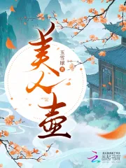 《美人壶》小说封面