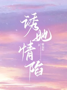 《诱她情陷》小说封面