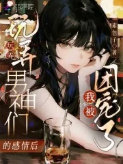 《玩弄男神们的感情后，我被团宠了》小说封面