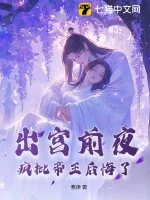 《出宫前夜,疯批帝王后悔了》小说封面