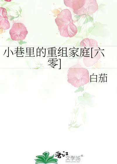 《小巷里的重组家庭[六零]》小说封面