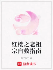 《红楼之老祖宗自救指南》小说封面