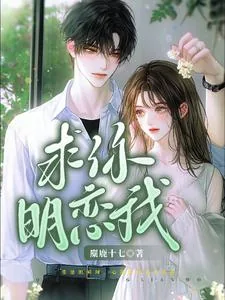 《求你明恋我》小说封面