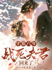 《守寡六年，战死夫君回来了》小说封面