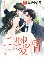 《二进制爱情》小说封面