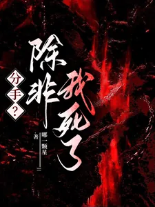 《分手?除非我死了》小说封面