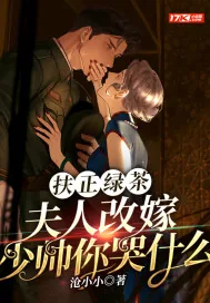 《扶正绿茶？夫人改嫁少帅你哭什么》小说封面