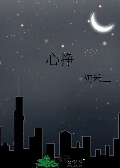 《心挣》小说封面