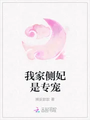 《我家侧妃是专宠》小说封面